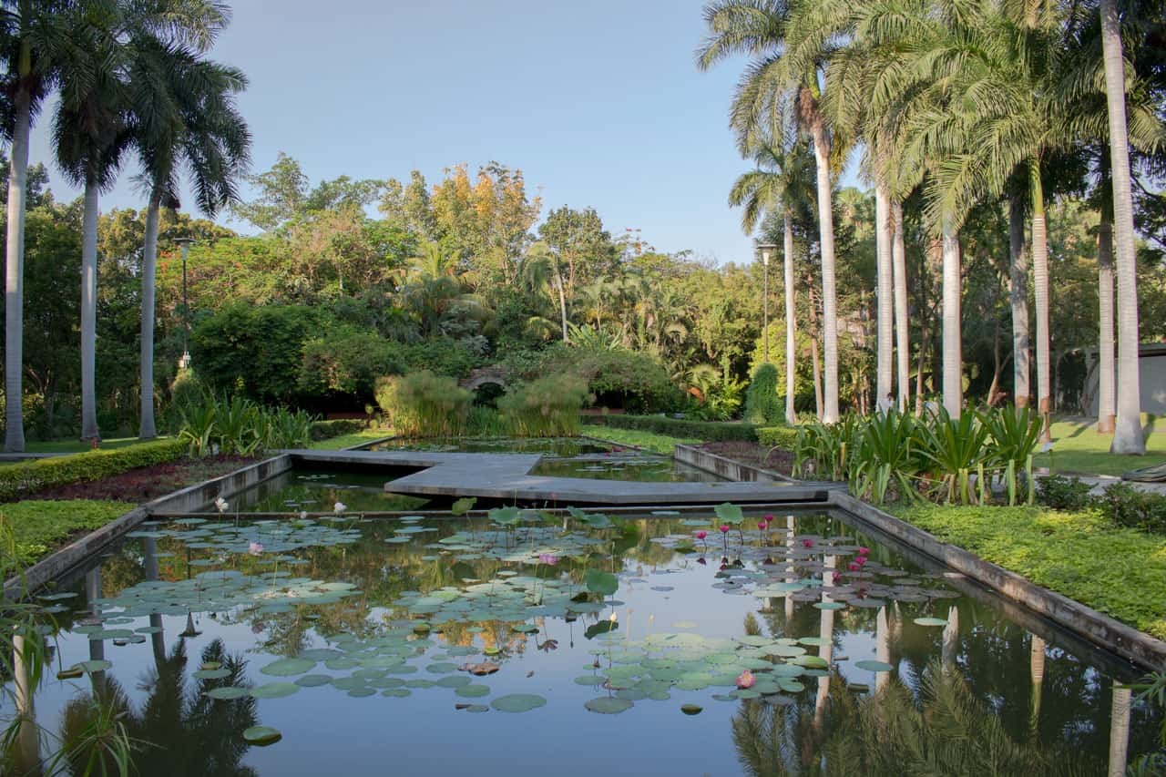 ‘No habrá impunidad’: Gobernador tras detención del presunto violador del Jardín Botánico