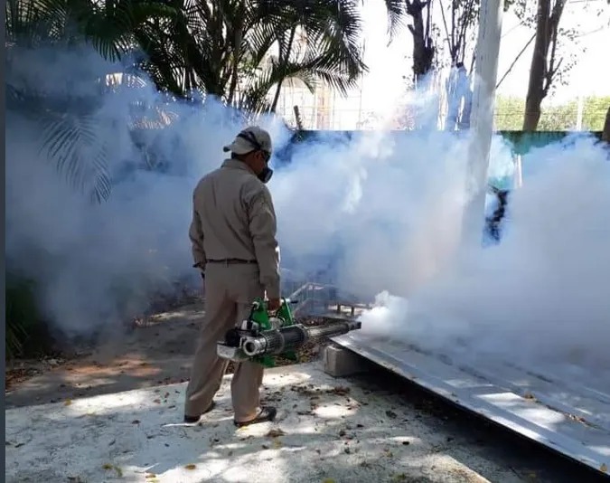 ¡No aguantan los moscos! Vecinos de colonias del sector sur de Los Mochis imploran programas de fumigación