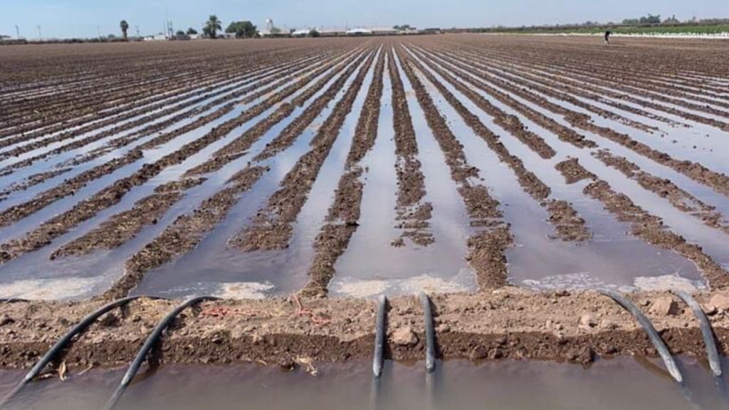 Se requiere atención para evitar más riesgos con la falta de agua: CNC5