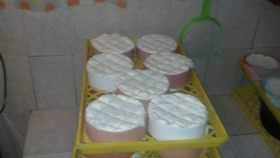 Incremento en recibos de luz pega a productores de queso en el sur de Sinaloa