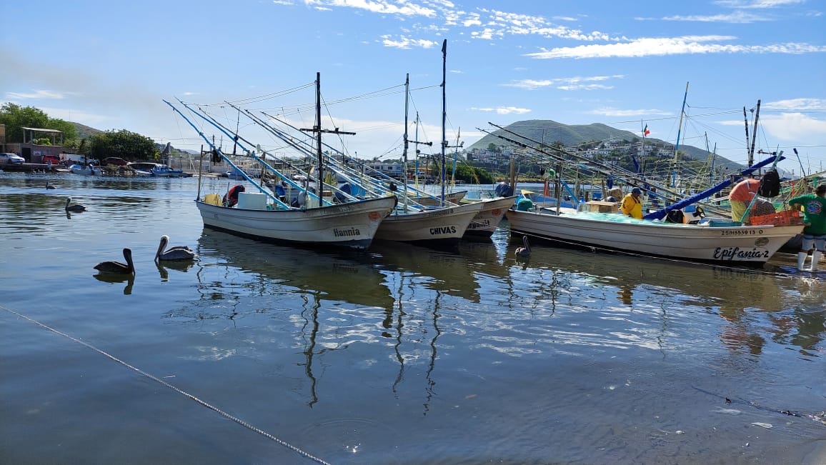 Vientos ‘limitan’ labores a pescadores en el norte de Sinaloa; 2026 marca mal inicio laboral