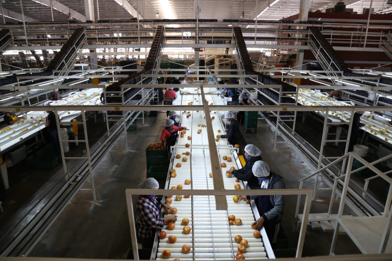 Culiacán cierra el 2022 con 24 proyectos de Ceprofies y una inversión de más de 2.5 millones de pesos