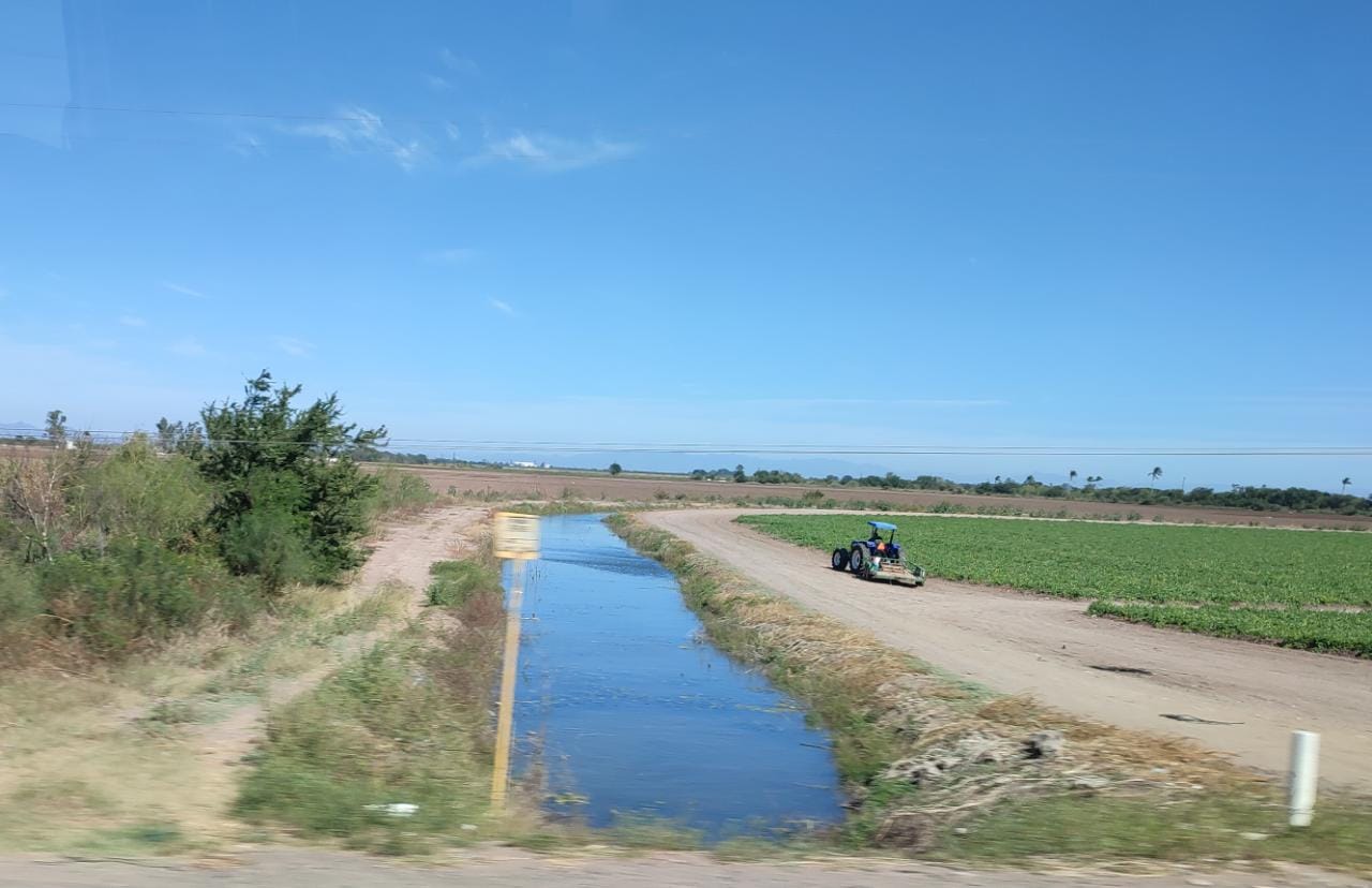 ¡Más vale prevenir! Apuestan por ahorro de agua en el módulo de riego 075; actualmente alcanzan un 50%