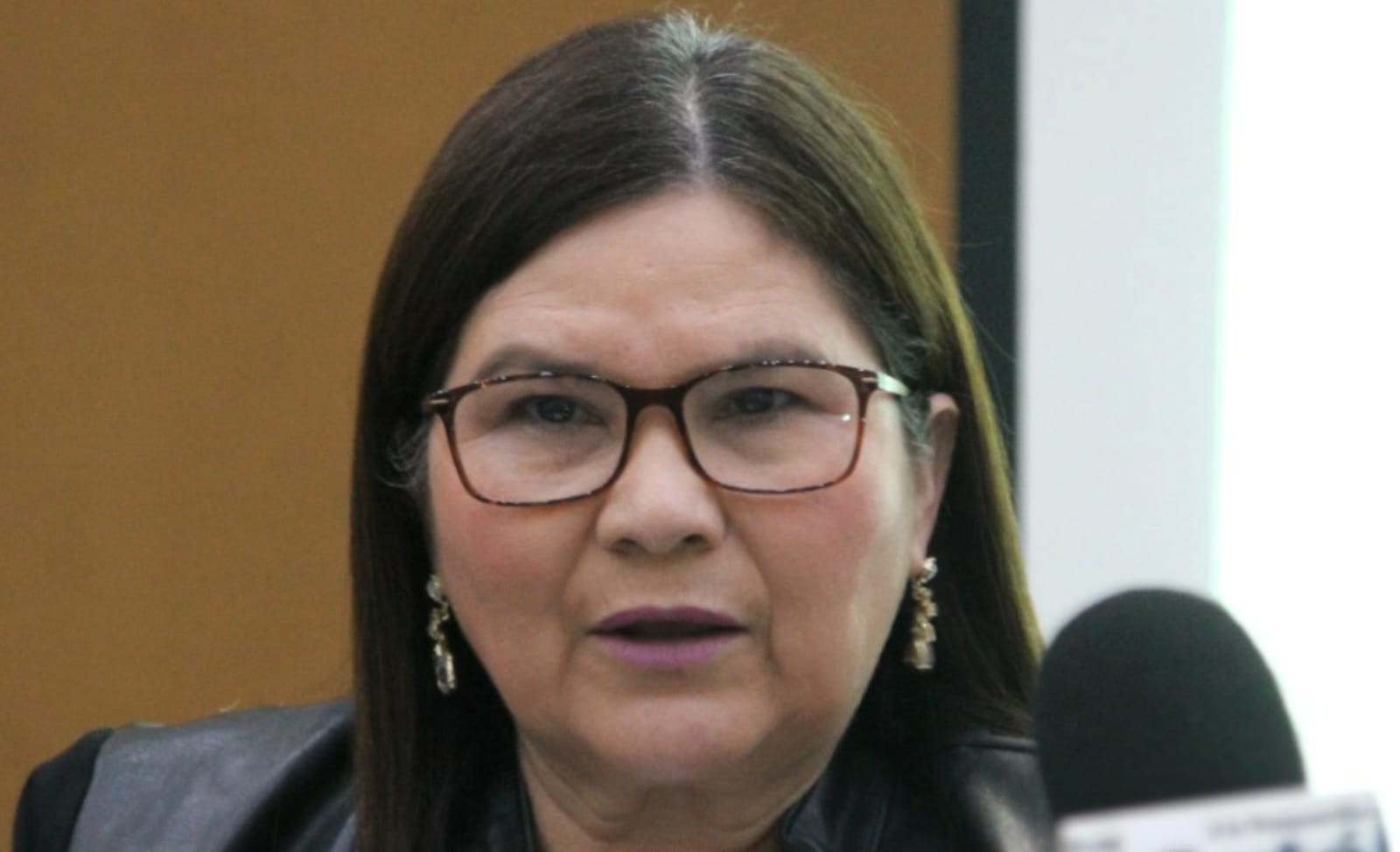 “El que nada debe, nada teme”: Senadora tras viaje de Estrada al extranjero