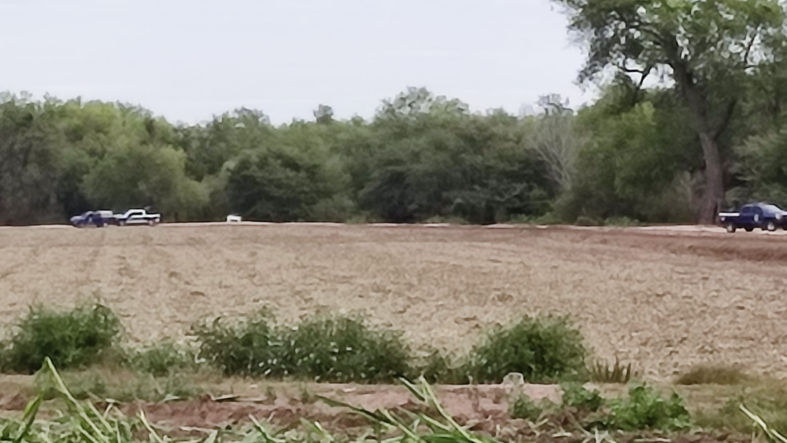 Feminicidio | Habría sido asesinada la adolescente hallada muerta en canal, en Ahome