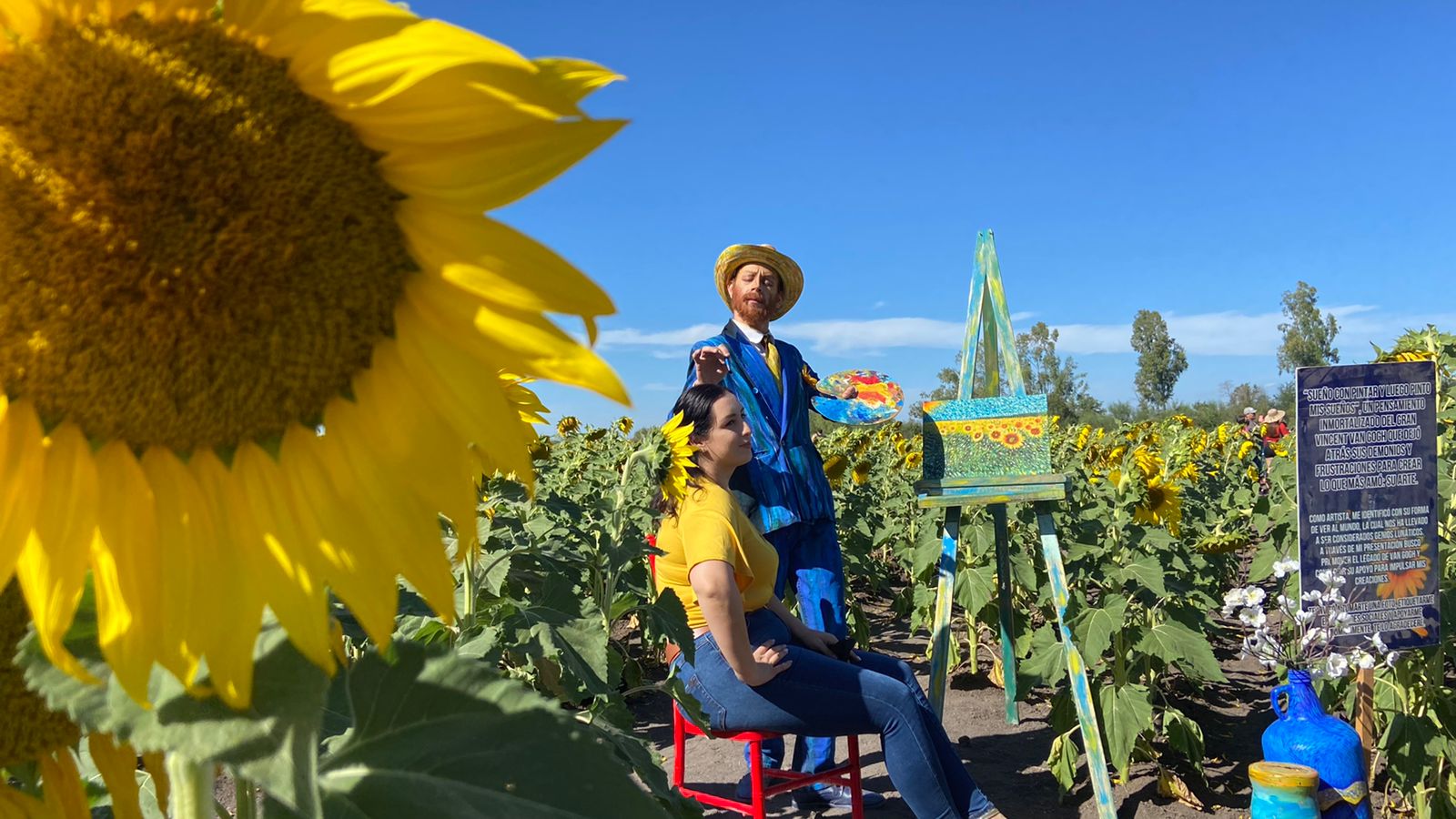 Mocorito se abarrota de turistas gracias al campo de girasoles; es una lástima que no duren más tiempo, dicen