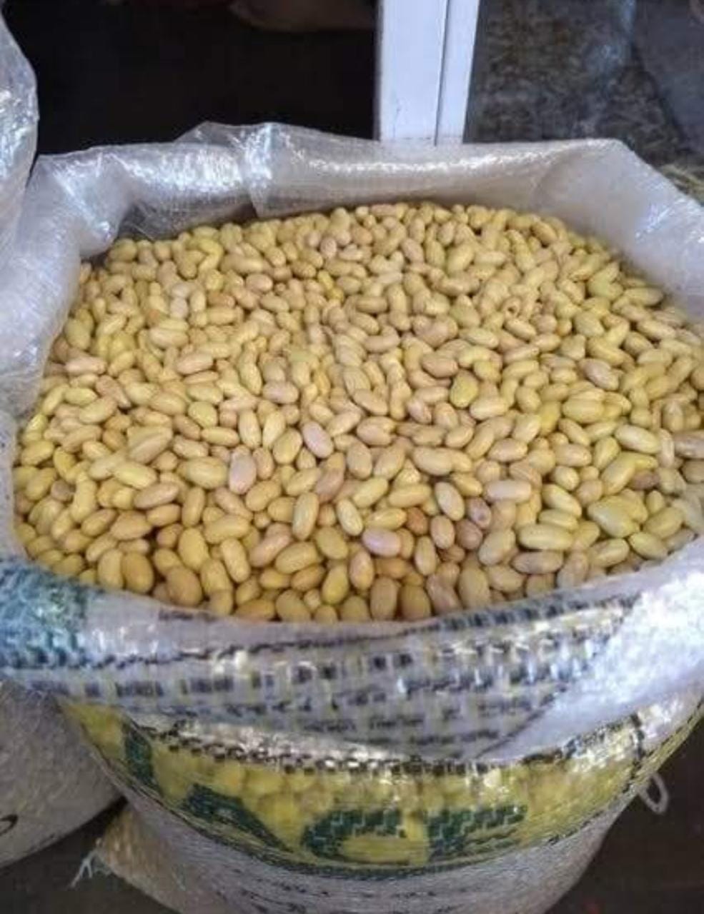 Ningún productor de frijol se ha acercado a guardar sus cosechas en la AARSP