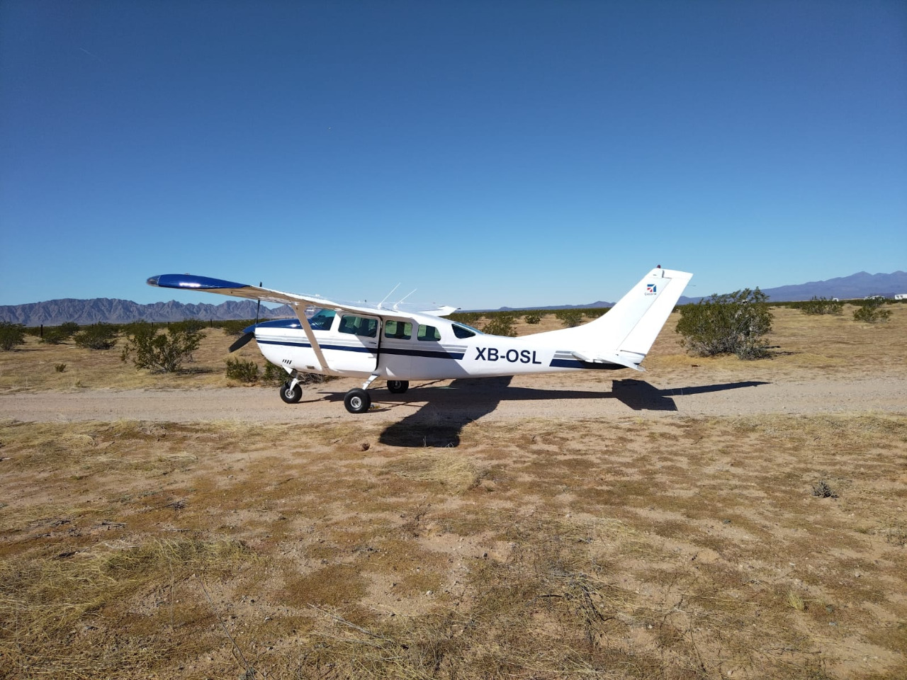 En Sonora, Sedena asegura avioneta que salió de Sinaloa cargada de droga