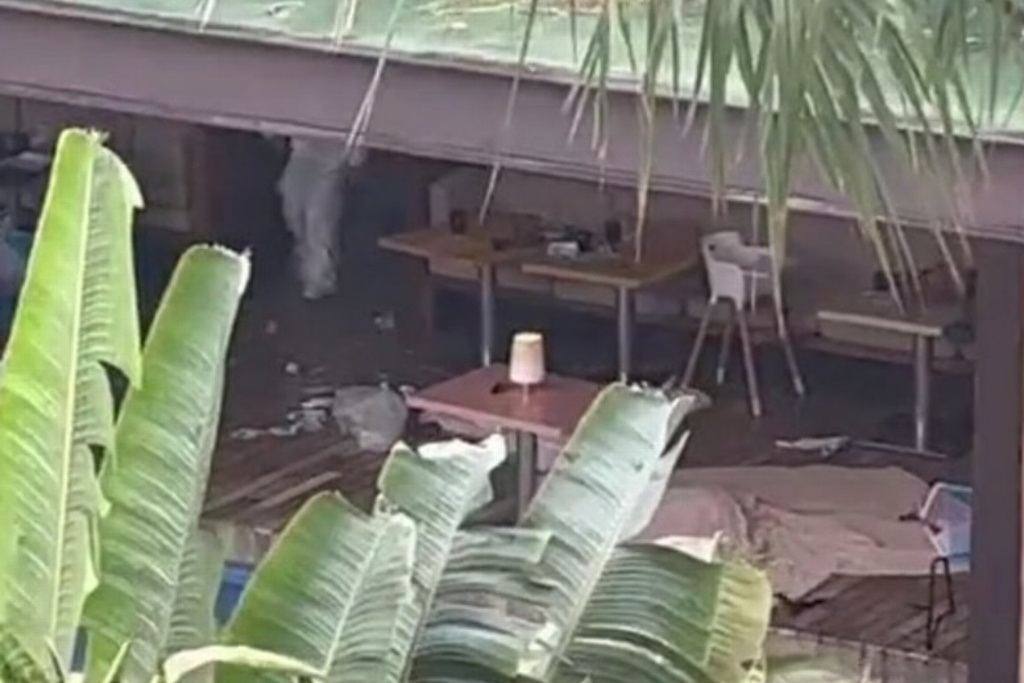 Ligan atentado en Hotel Xcaret, en Quintana Roo con la mafia de Vietnam