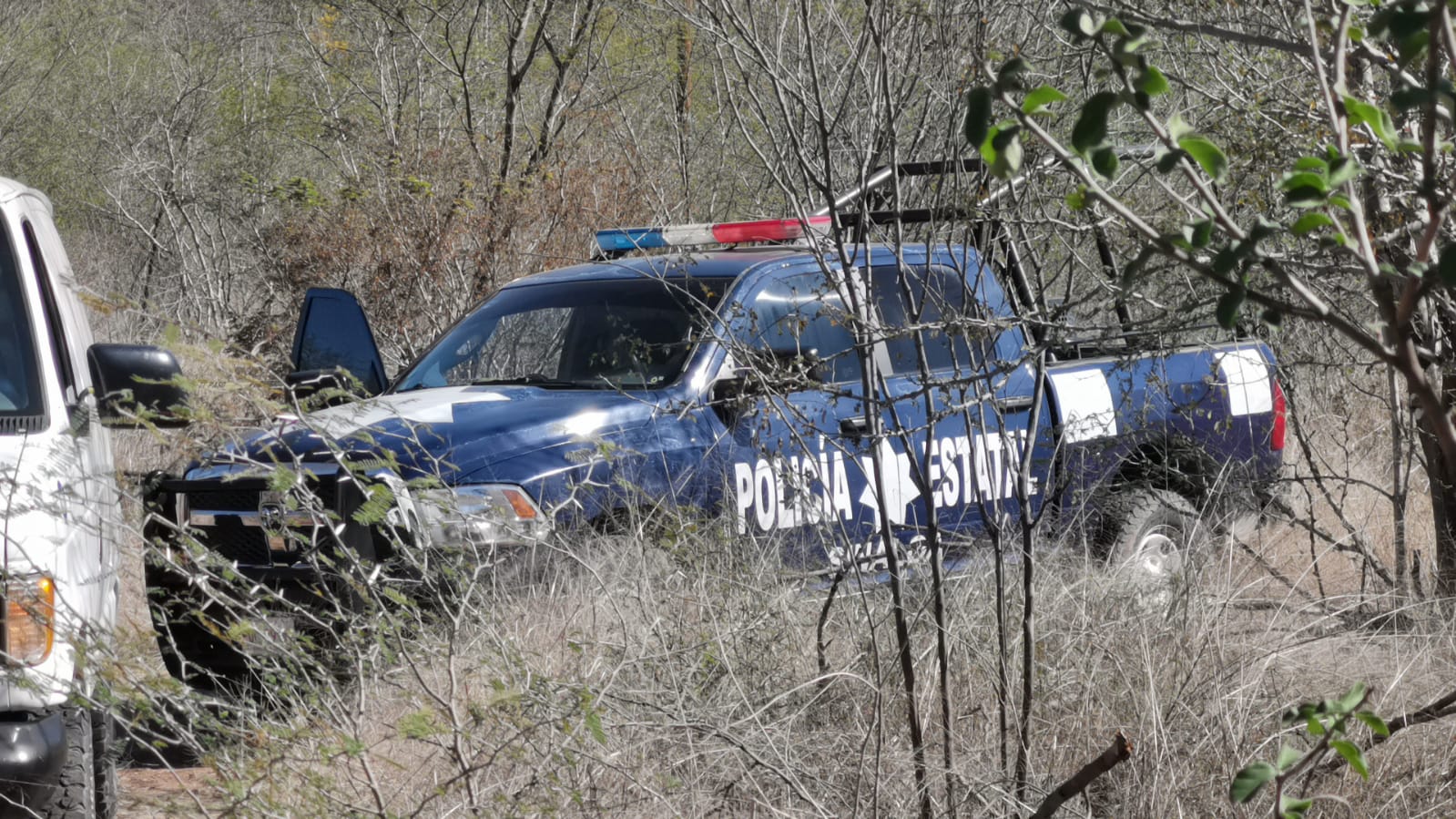 ‘Encobijado’ y con huellas de violencia encuentran asesinado a un hombre en Pericos