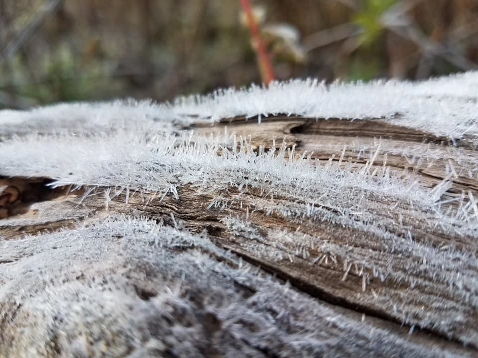 Gélido amanecer: Probabilidad de caída de nieve o aguanieve en sierras de Sinaloa y en otros cuatro estados