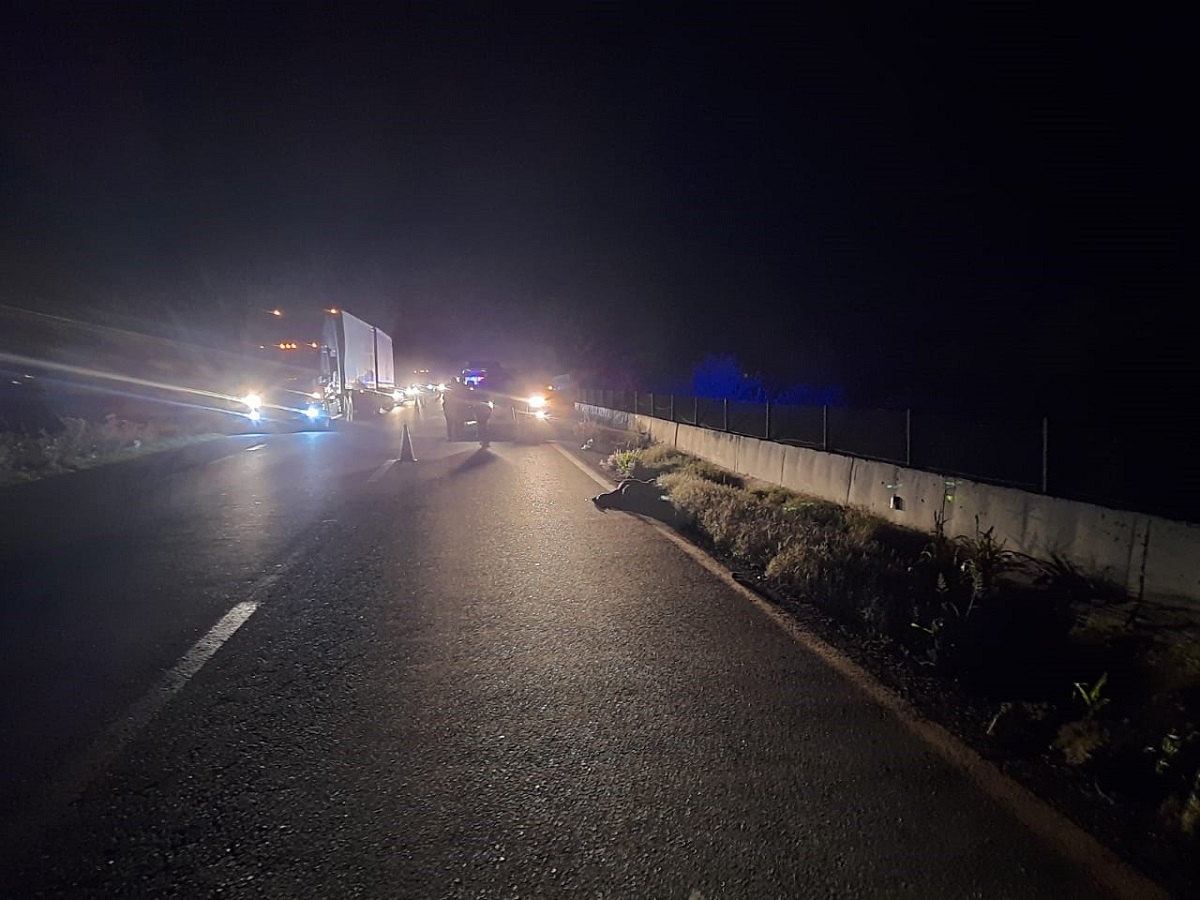 Hombre fallece tras ser atropellado por tráiler en la carretera México 15, en Guasave