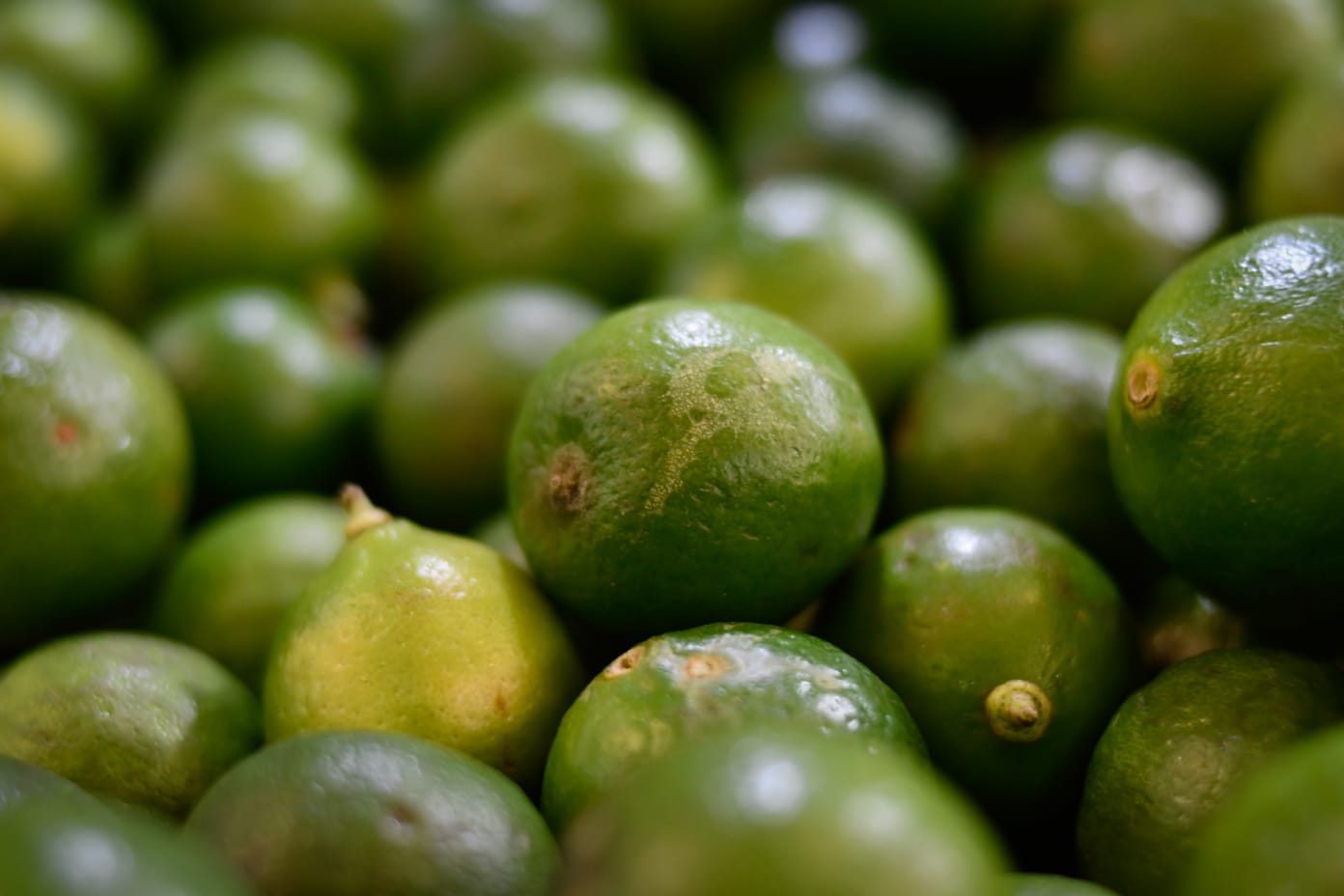 Aumento del precio del limón desata memes; en Culiacán cuesta hasta $80.00 el kg