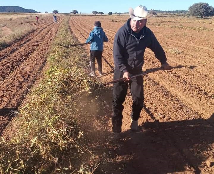 Economía de productores complica guardar el frijol para mantener precios: CMC 5