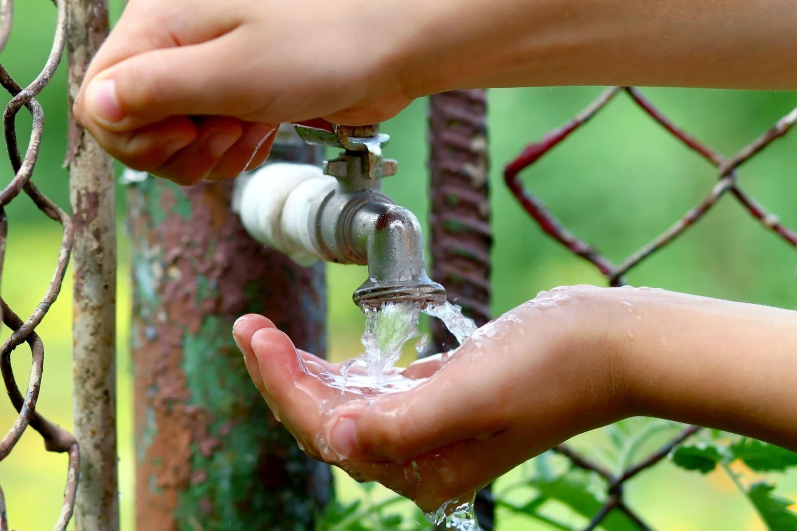 Suspensión de agua potable. (Temática, Cortesía)