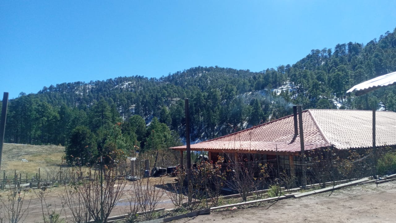 Frente frío No. 43 y la novena tormenta invernal continuarán su desplazamiento sobre el noroeste del país