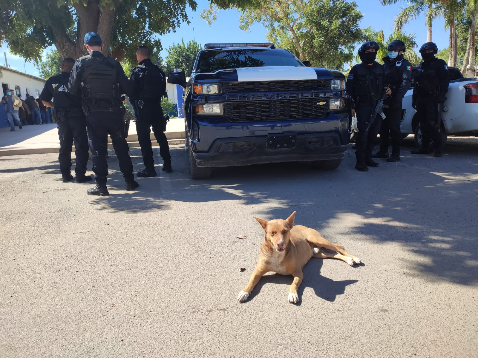 Se va Miguel Ángel Martínez Catana, pero Tamarindo perrito adoptado se queda en la corporación