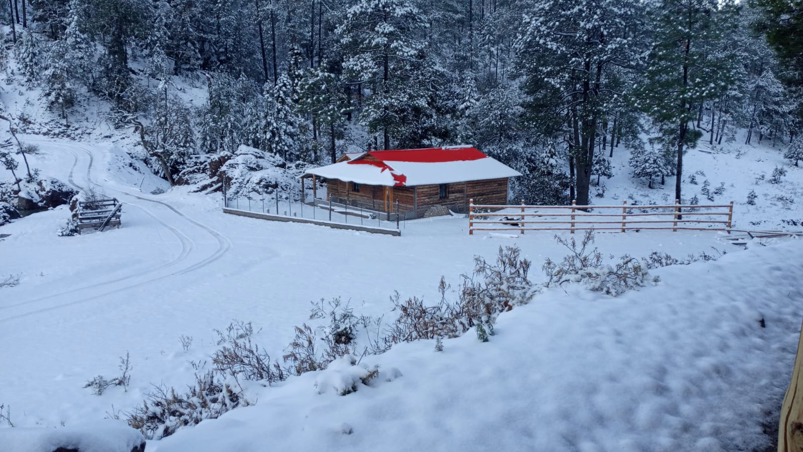 (FOTOS) ¡Se cumple el pronóstico y cae nieve en Sinaloa! Mira estas hermosas postales
