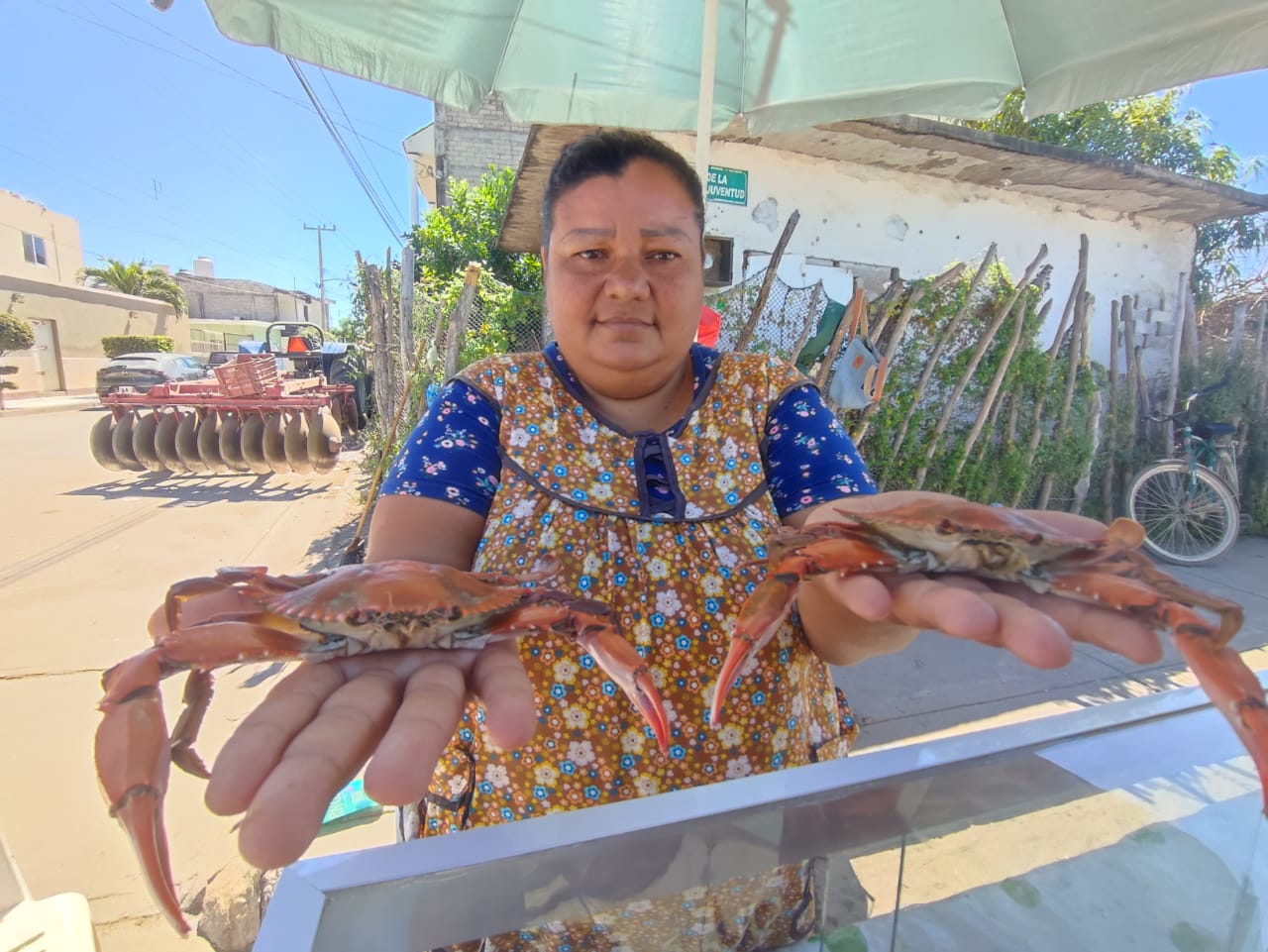 Le daba vergüenza vender jaibas; ahora le llaman ‘Paloma Jaibas’ y es ícono en Escuinapa