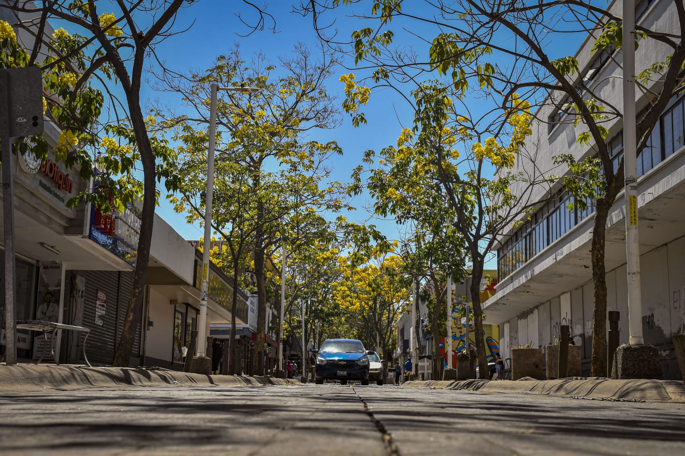Trabaja el Ayuntamiento en un proyecto integral de revitalización del centro de Culiacán&nbsp;