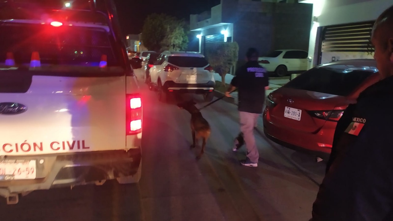 Pfizer, el binomio canino de búsqueda y rescate localiza a menor extraviado en Los Mochis