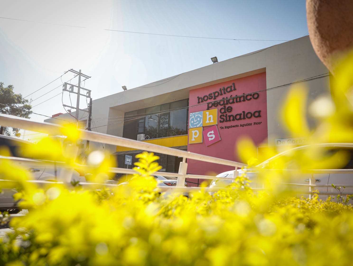 Medicamento que tomó Yajaira contra epilepsia pudiera ser la causa de la sospecha de hepatitis