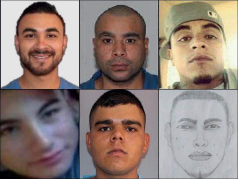 Se buscan: Fiscalía ofrece recompensa por participantes identificados de la masacre en Michoacán