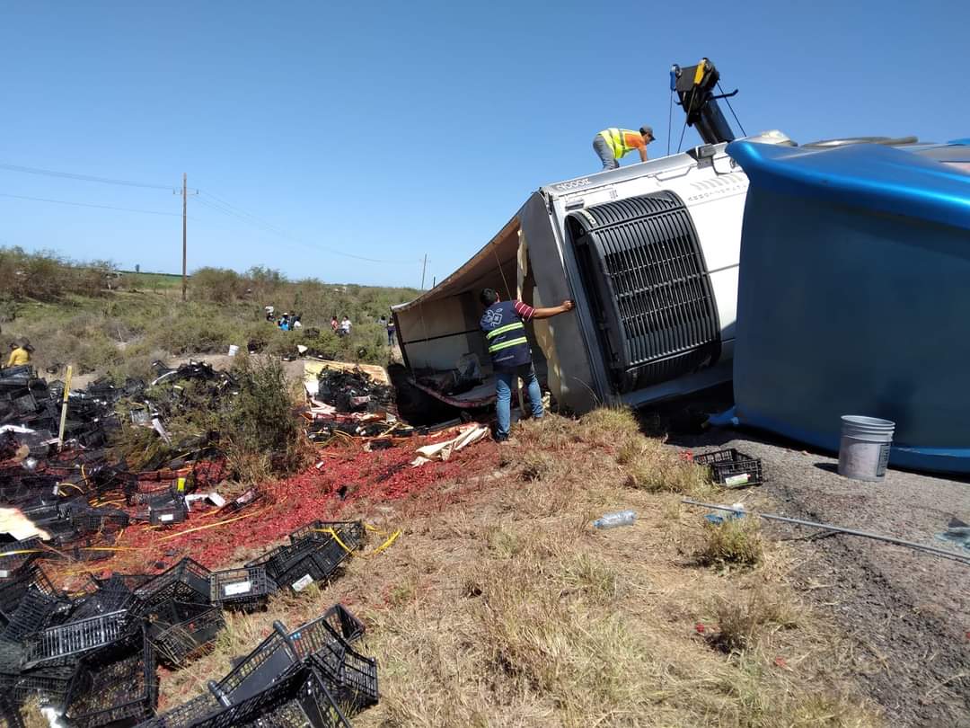Tráiler cargado de fresas sufre accidente tipo volcadura en el Valle del Carrizo, Ahome