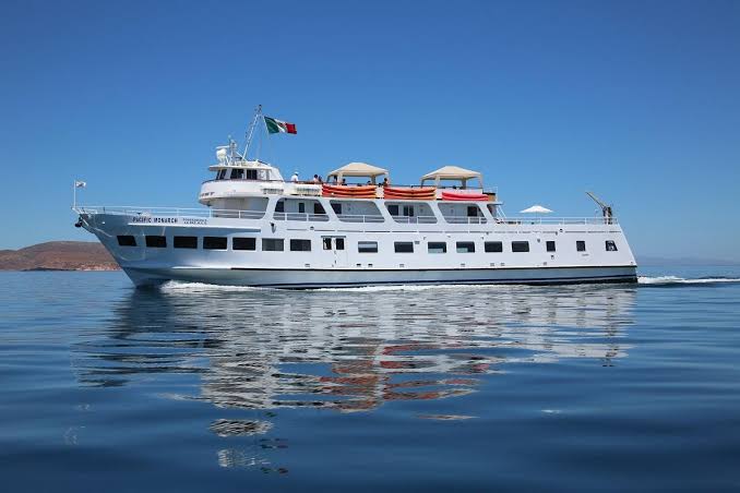 Una realidad será el Pacific Monarch, la embarcación oficial con ruta Mazatlán-Islas Marías