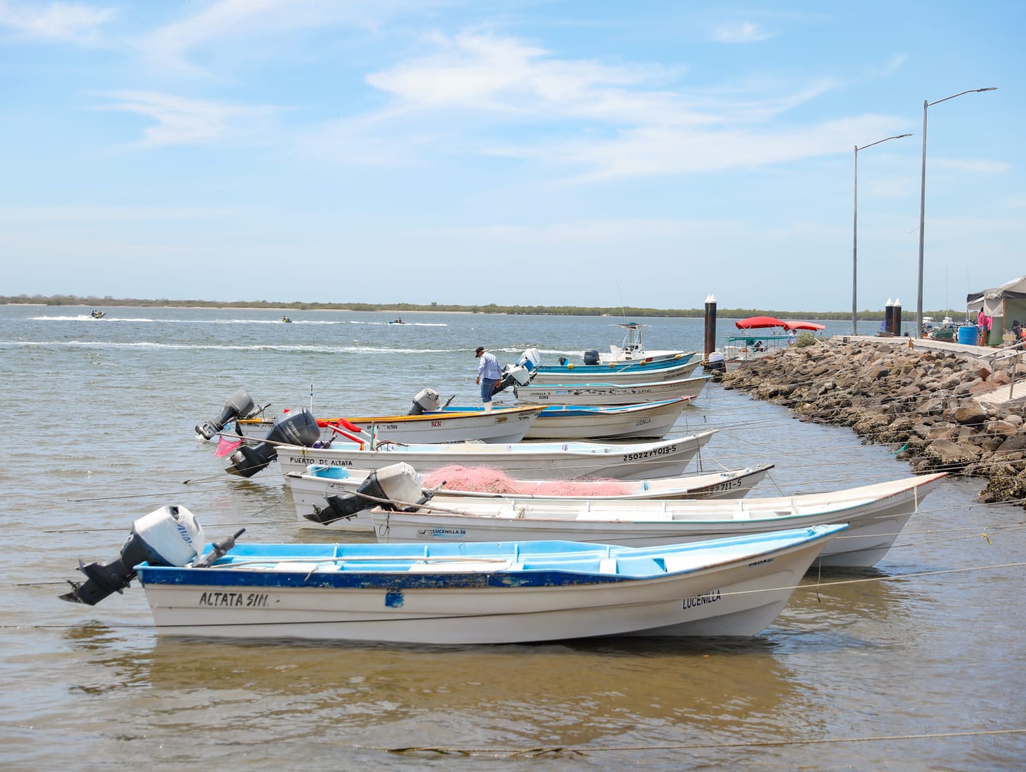 Por marea roja, declara Coepriss veda sanitaria en la Bahía de Altata Norte