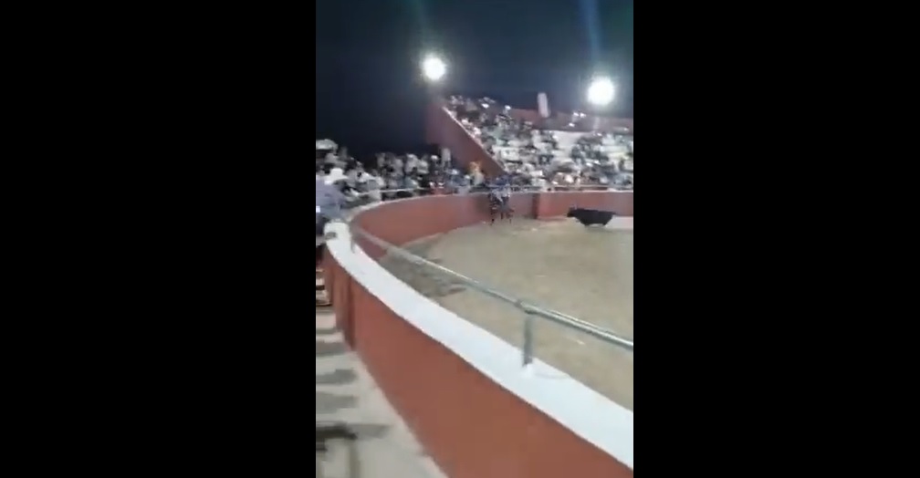 Evento taurino termina en tragedia… joven es embestido por toro y fallece (video)