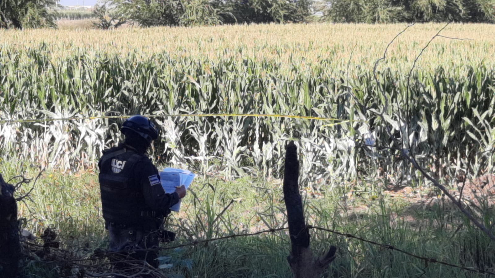 Con varias rocas y matas de maíz encima encuentran asesinado a un hombre en un panteón de Navolato