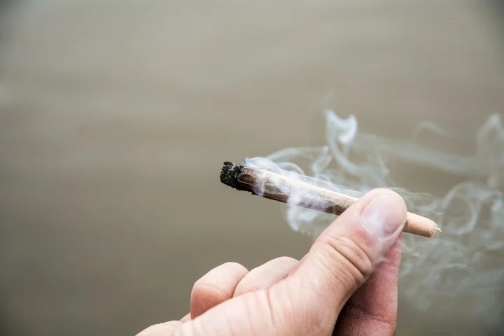 ‘La marihuana se ha convertido en la droga inicial de los jóvenes’: CIJ Guamúchil