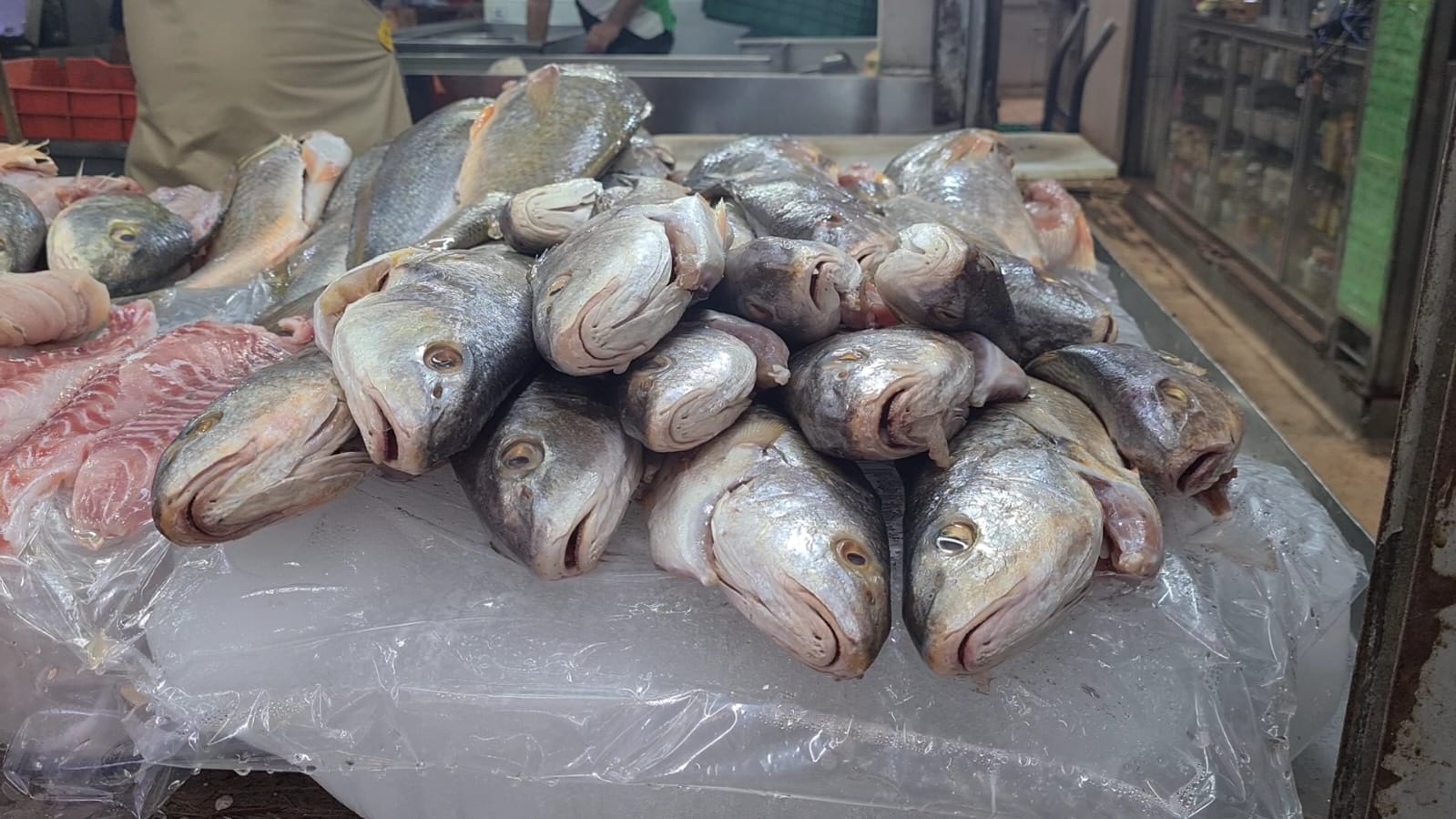 Por Cuaresma, repuntan ventas de mariscos en el Mercado Garmendia de Culiacán