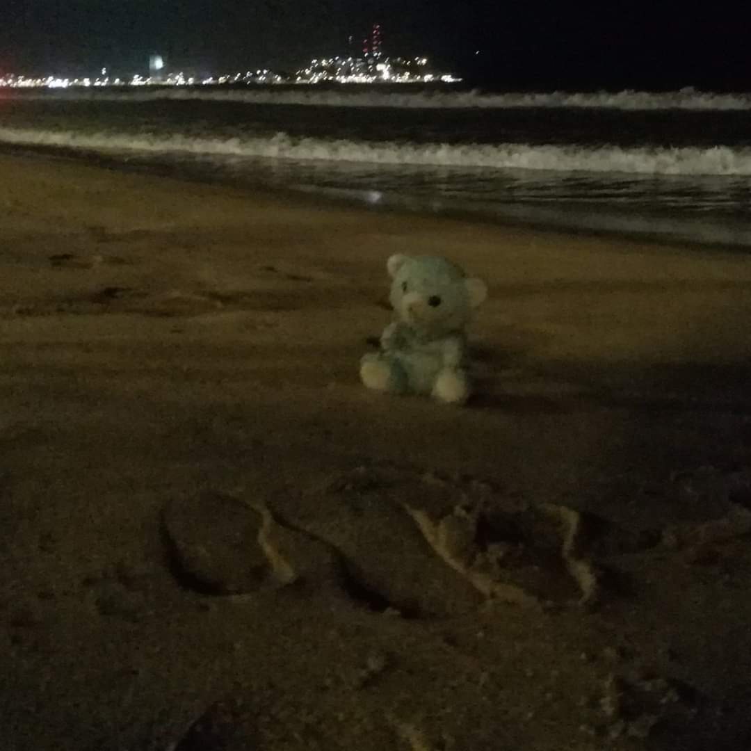 Se busca osito extraviado| Su pequeño dueño tuvo que marcharse de Mazatlán sin él