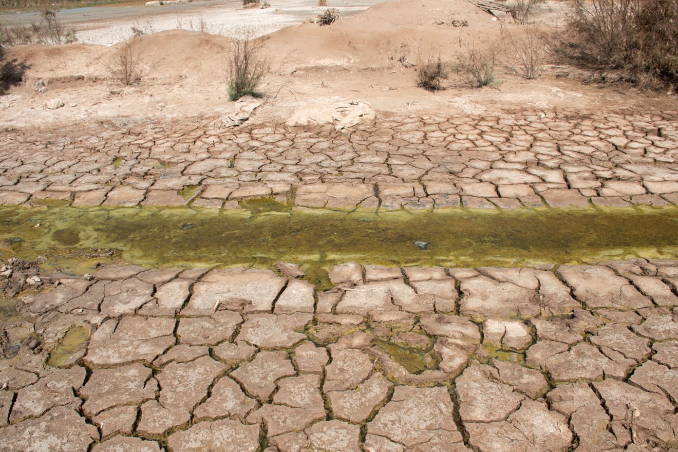 Cosalá, Culiacán, Elota, Navolato y San Ignacio, en condición de sequía severa: Conagua