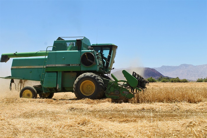 Trillas avanzan arriba del 60% y la dispersión de pagos no se ve, urge pagar créditos: AARFS