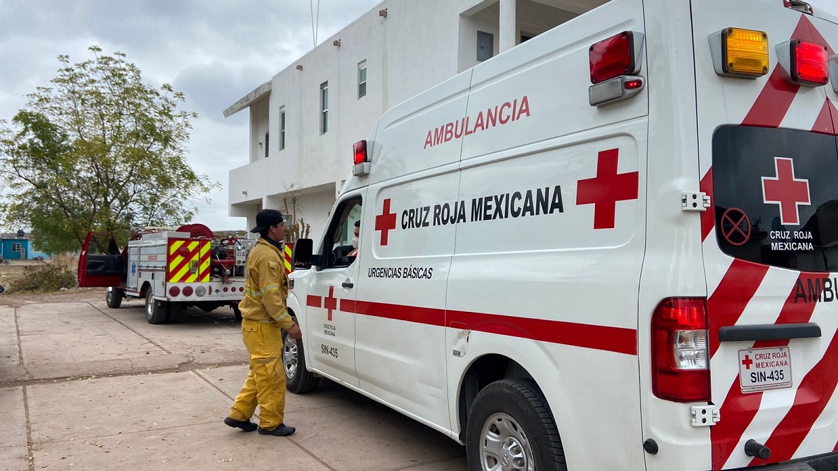 Abejas atacan y mandan al hospital a tres personas en Guamúchil