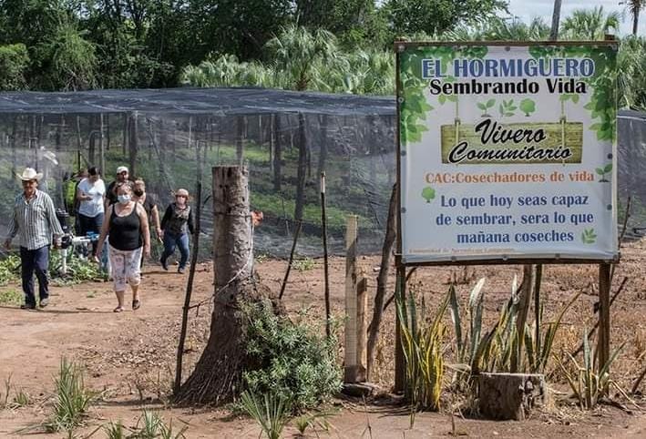 Trabajadora de Sembrando Vida, en el norte del estado, acusa hostigamiento para que renuncie