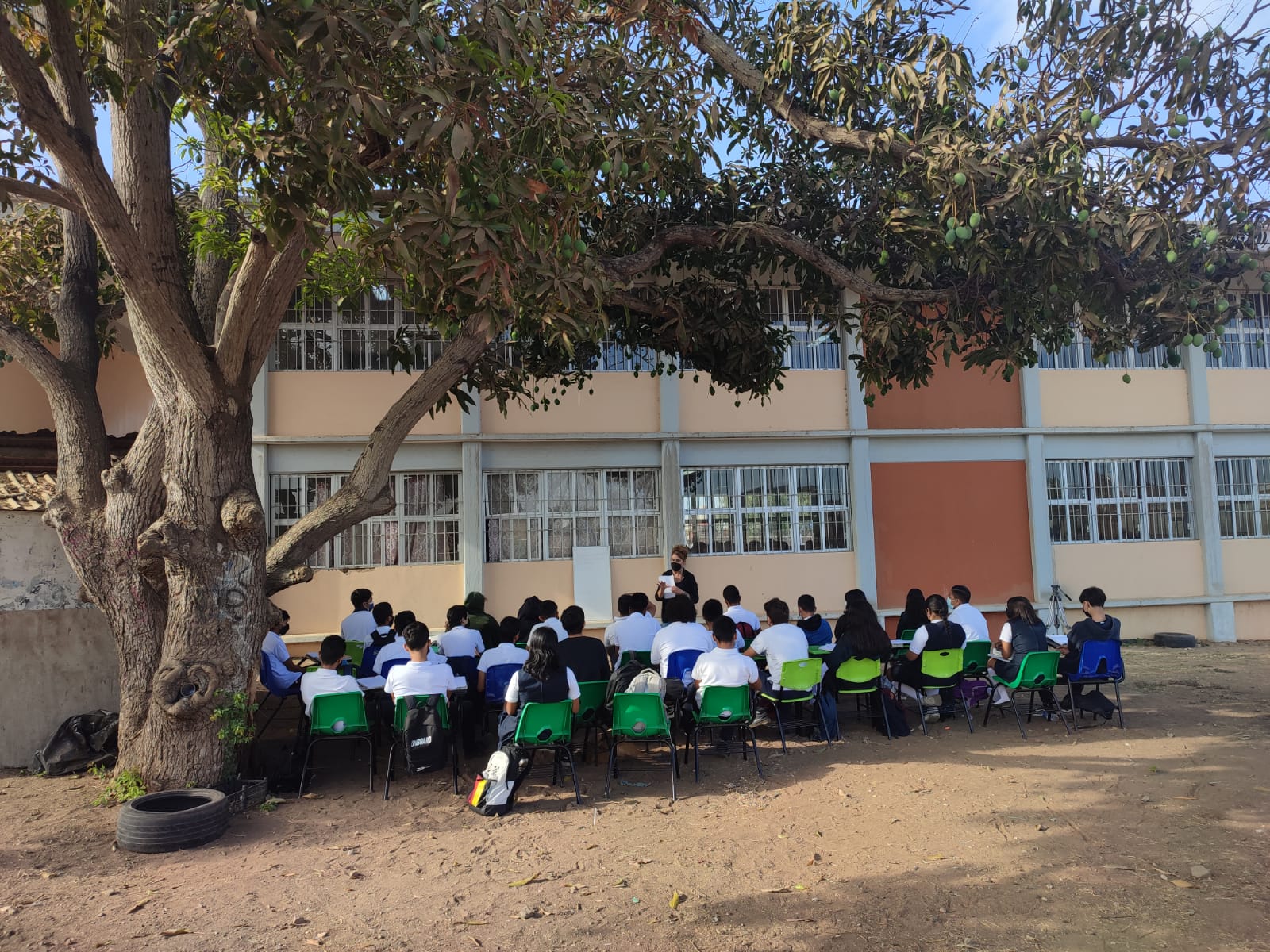 Bajo un árbol de mango; así toman clases alumnos de la secundaria Nueva Creación de Mazatlán