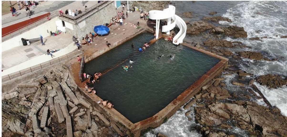 Entra a cirugía la carpa Olivera de Mazatlán, una de las albercas emblemáticas del mundo