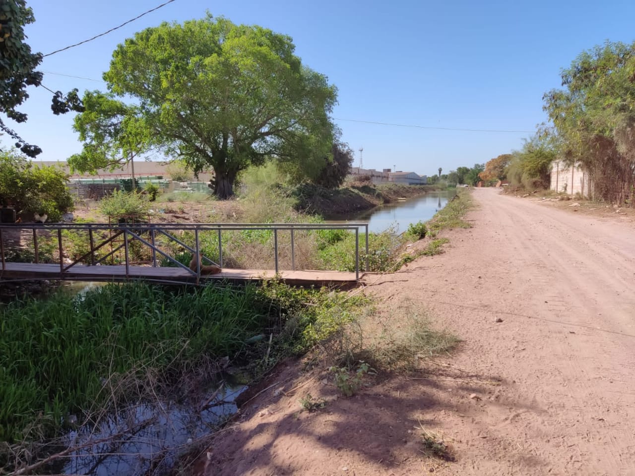 Familia construye vivienda sobre bordo de dren en Los Mochis; obstruyen trabajos de limpieza