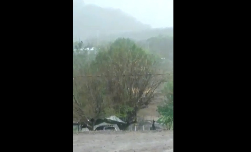 Video: Caen primeras lluvias de la temporada en Soyatita, Badiraguato