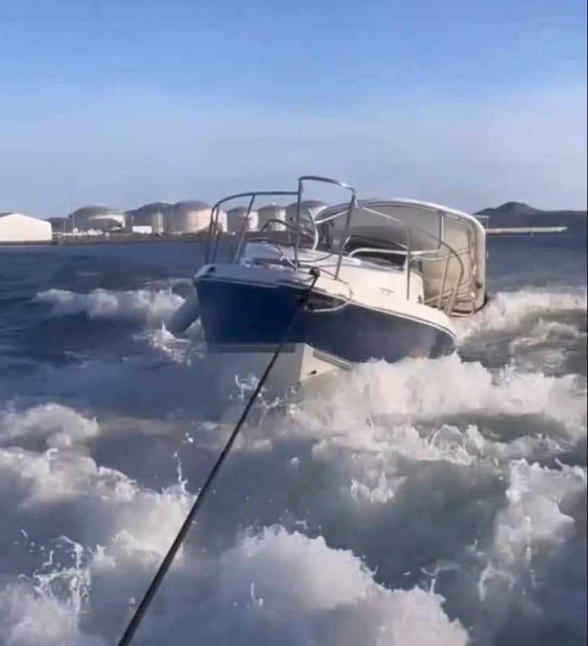 Se cancelará el permiso a las embarcaciones que sigan acosando a la ballena: Capitanía