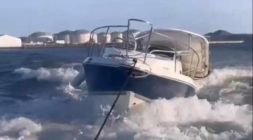 Embarcación particular, sí andaba acosando a la ballena, por eso lo atacó: Capitán de puerto