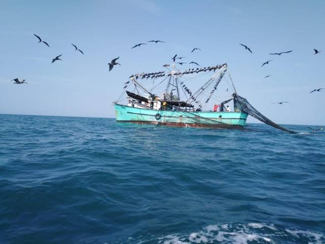 Pesca ilegal y la falta de apoyo de competitividad mantiene a la deriva a pescadores del norte de Sinaloa