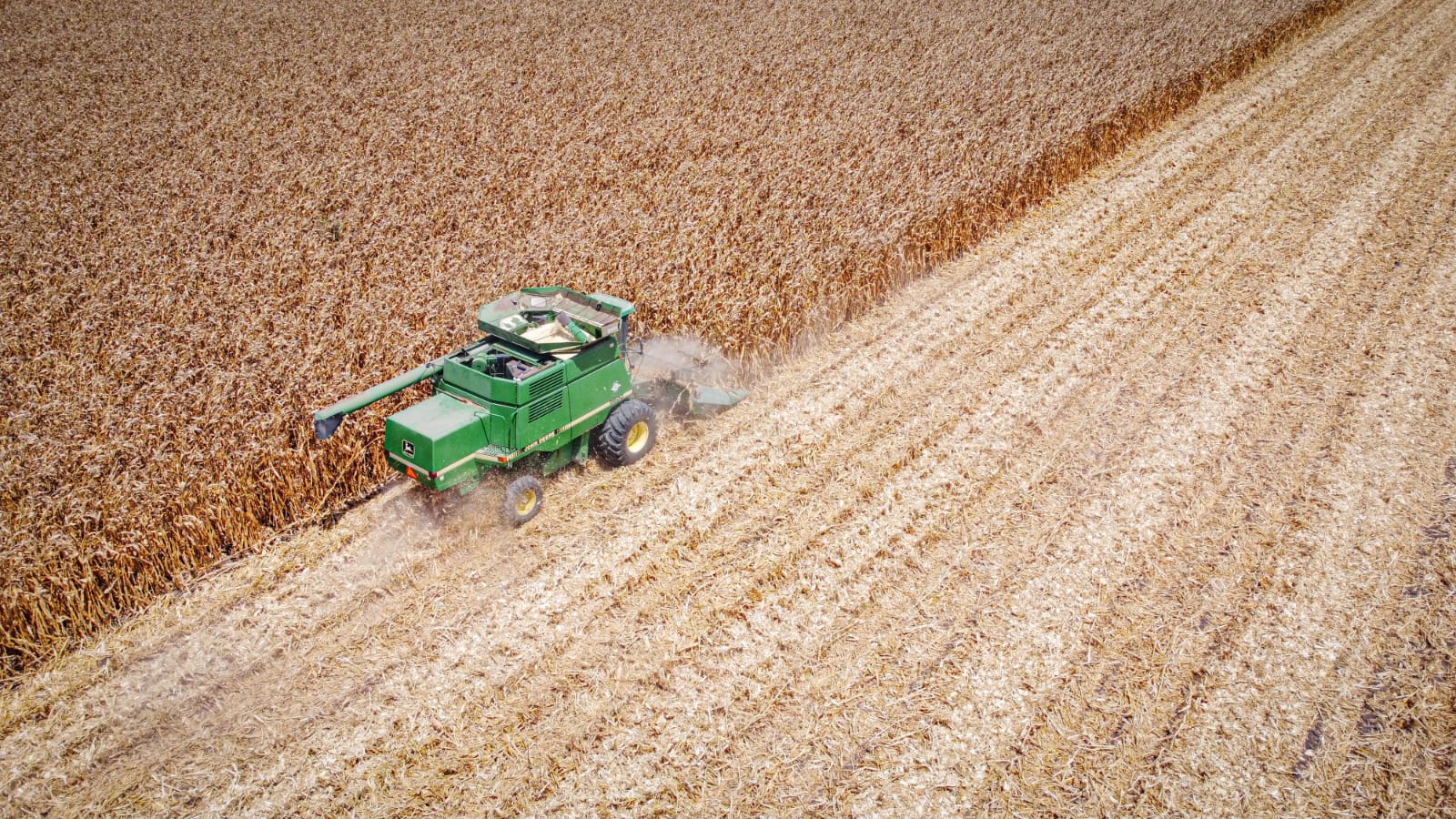 En 600 hectáreas del Ejido Canán, Claudio demuestra que la agroecología sí es rentable