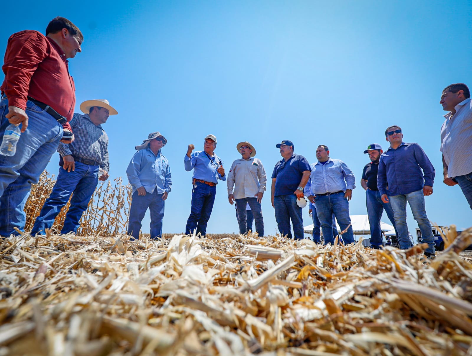 Segalmex comprará en 7 mil 300 pesos la tonelada de maíz; el frijol a 22 pesos por kilogramo