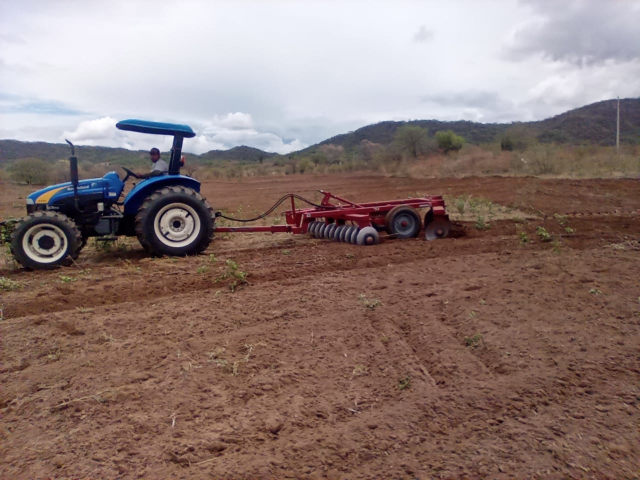 Temporaleros de Ahome, Sinaloa, se dan por vencidos al no existir disposición de Agricultura de Sinaloa de apoyarles