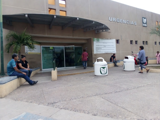 Abejas atacan a un hombre en Navolato y muere cuando recibía atención médica